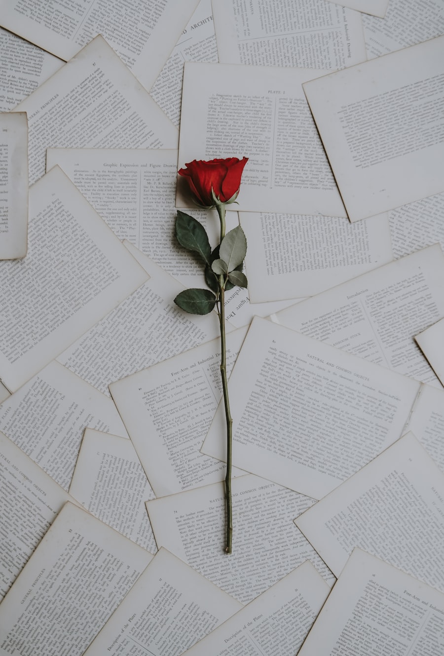 A single rose resting on old book pages
